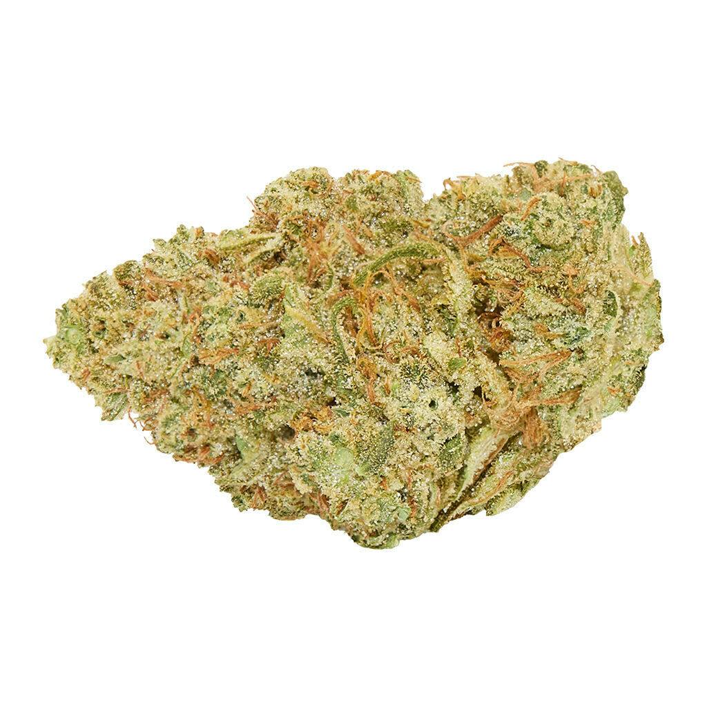 Winter Kush 7g Dried Flower