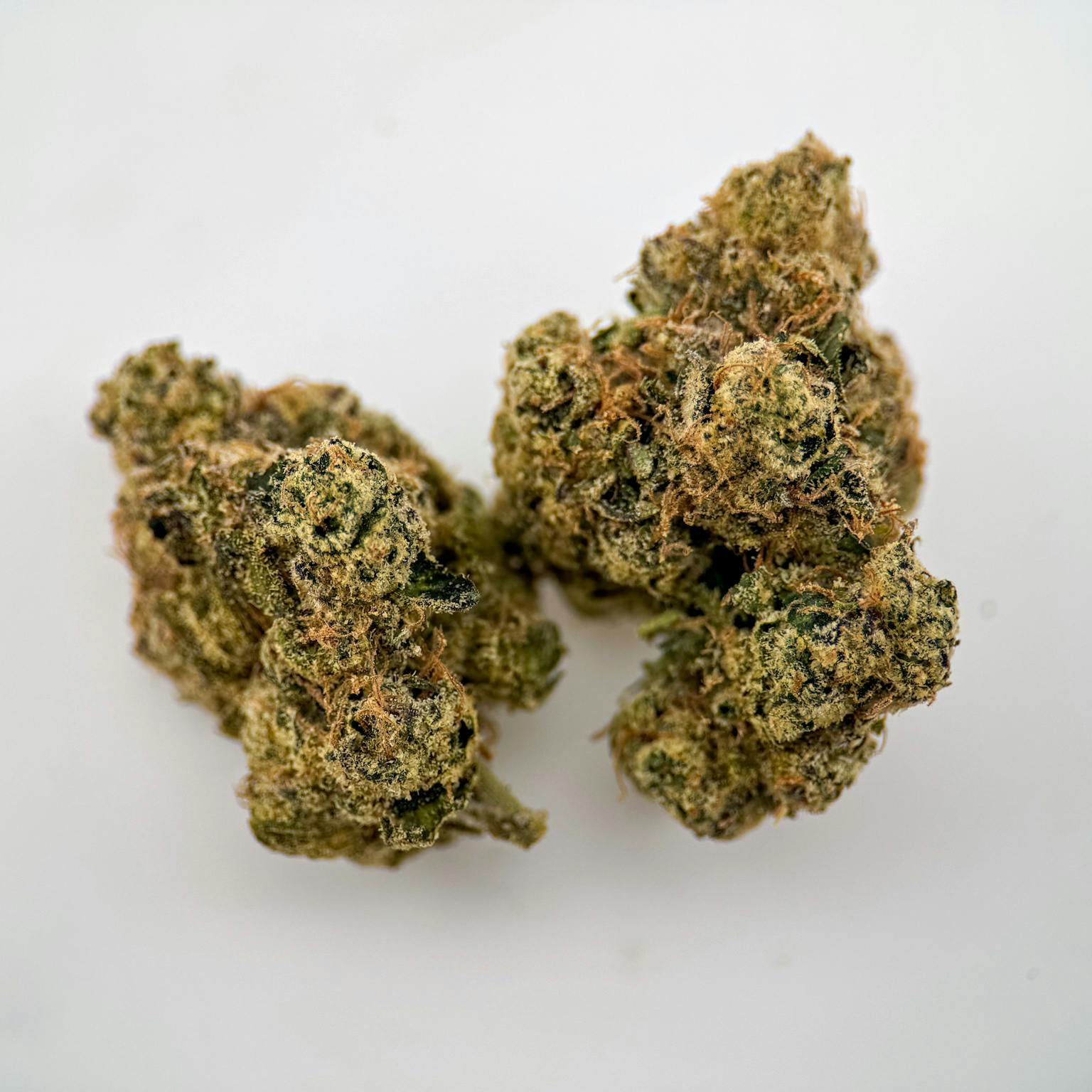 MM Eighth Silky Gelato