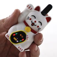 Lucky Cat Variable Voltage Battery