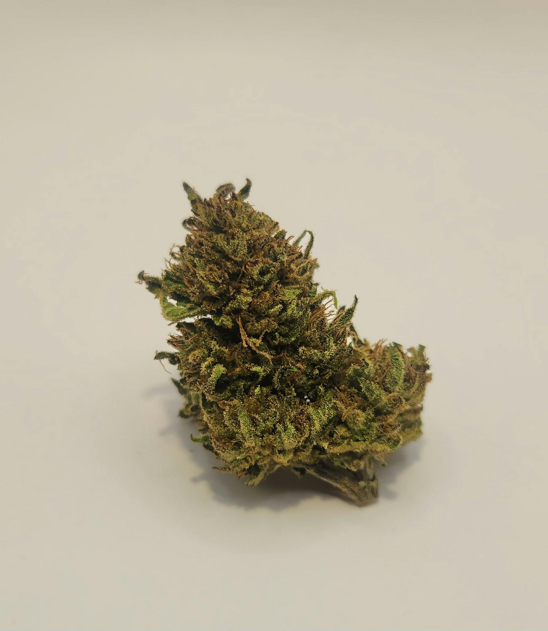 Pineapple Chunk - Bulk Flower at Dames Cannabis Dispensary