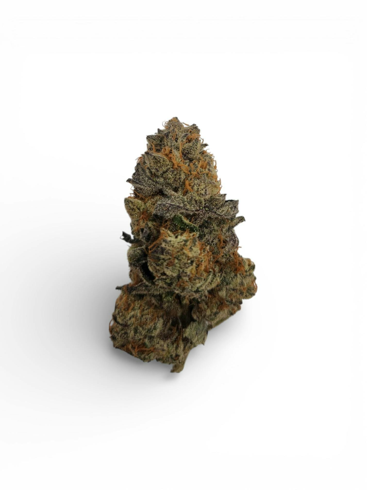 Lavender Bulk Flower
