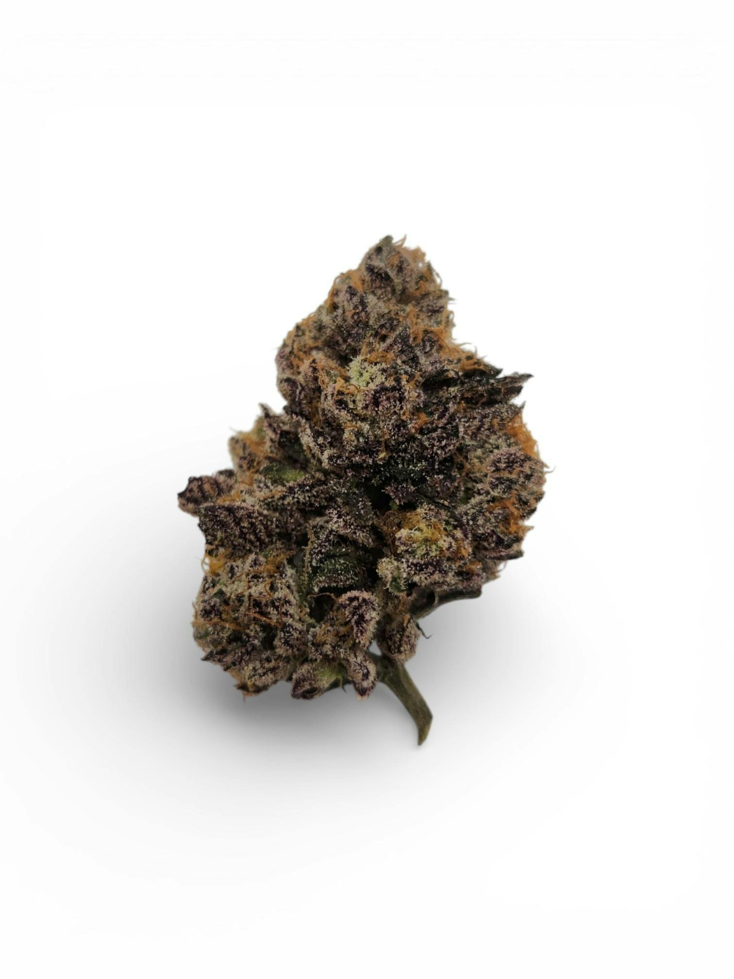 Purple Octane Bulk Flower at Dames Cannabis Dispensary