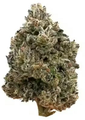 Lemon Cherry ala MODE at Dames Cannabis Dispensary
