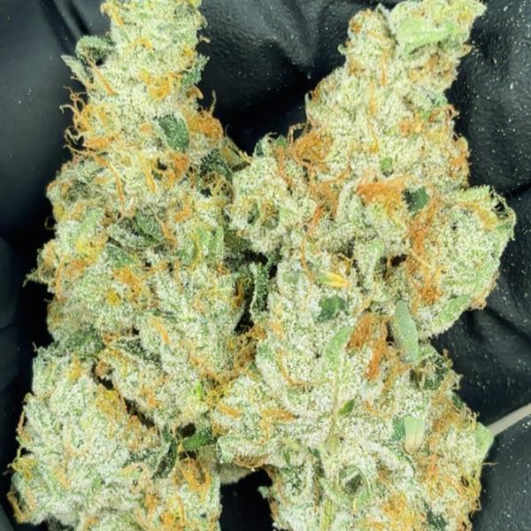 Jenny Kush | Flower 7g