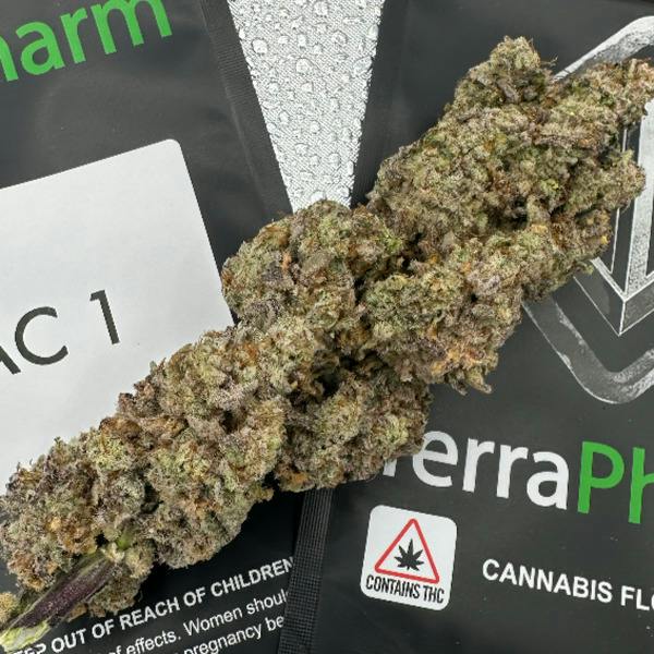 Mac 1 | Flower 3.5g