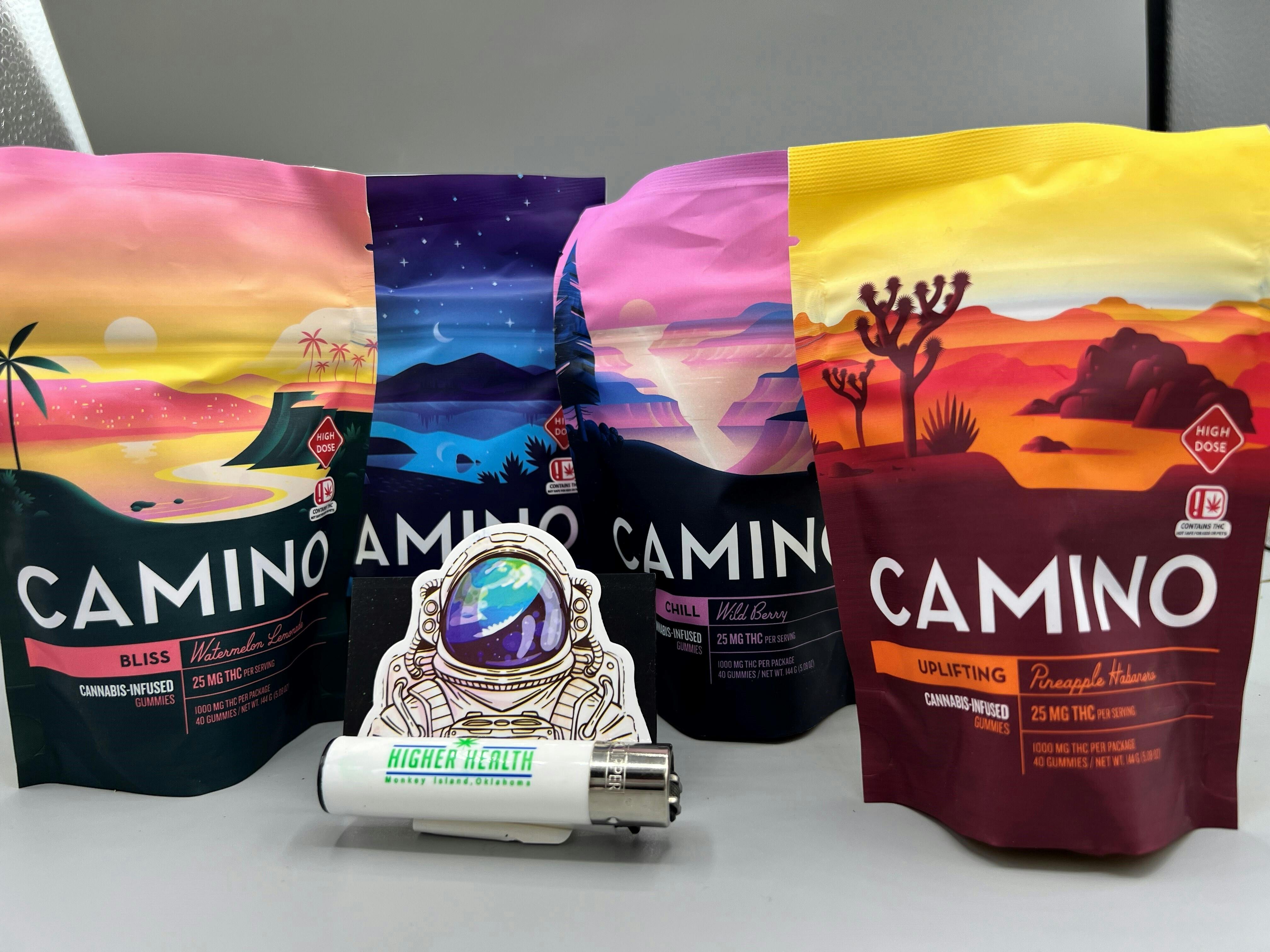 Camino Chill Wild Berry Chill Gummies 1000mg