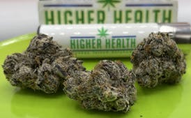 Ice Cream Cake Eighth by Bud Diamonds