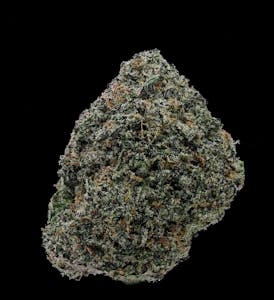 Skunk #1 Eighth by Skunk Hollow Farms