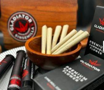 Gladiator Lemon Sugar Preroll 1g