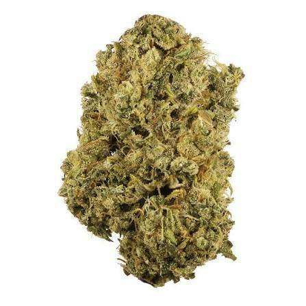 Durban Poison by Green Grass Eighth
