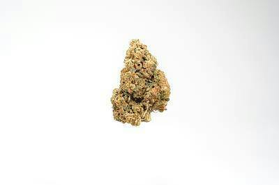Bugsy by Very Good Grows Eighth