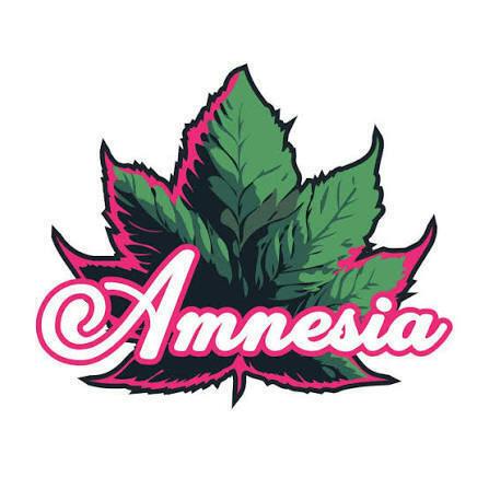 Amnesia - Cherry Popperz - 1.5g Bubble Hash Infused Preroll