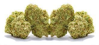 Viola Flower - El Cucuy - Top Shelf