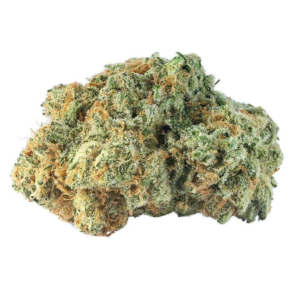 Cherry Bomb Dried Flower