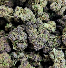 Mendo Purple (Organic)