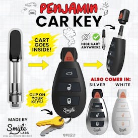 Penjamin Key Fob Battery