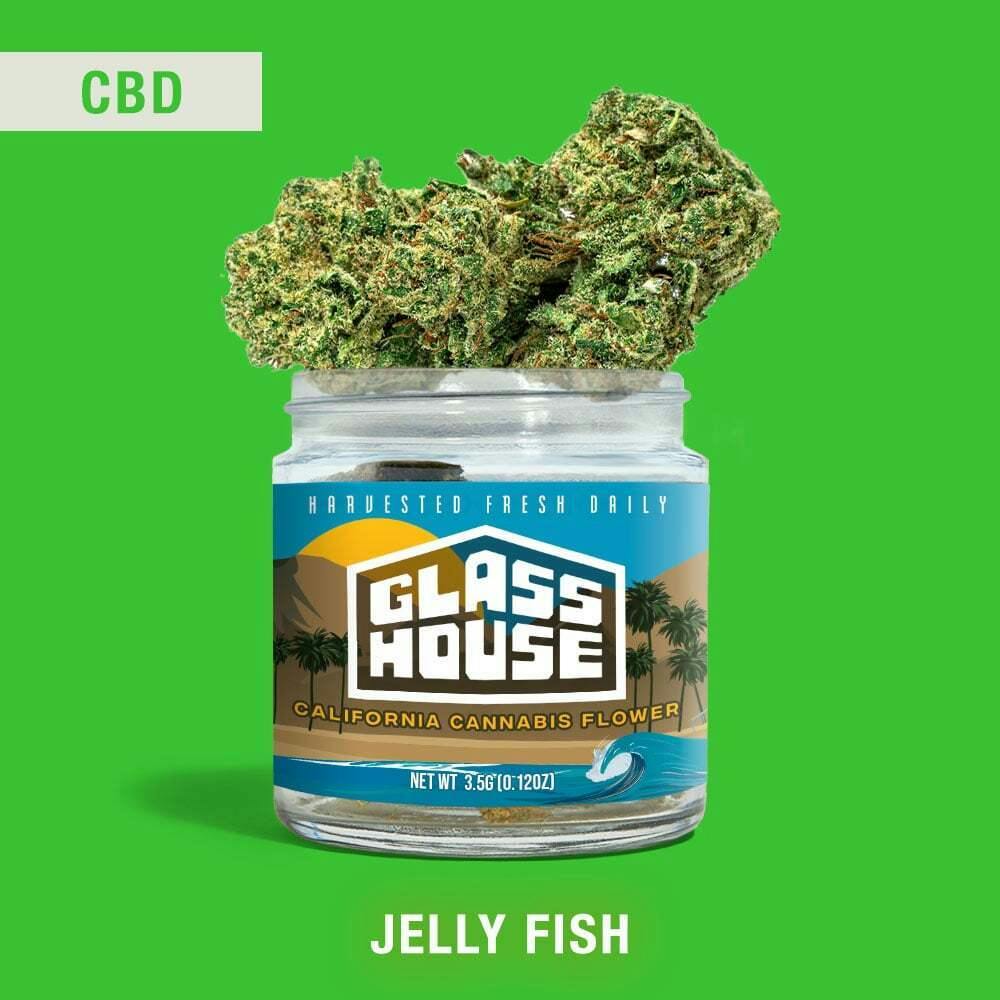 Jelly Fish™