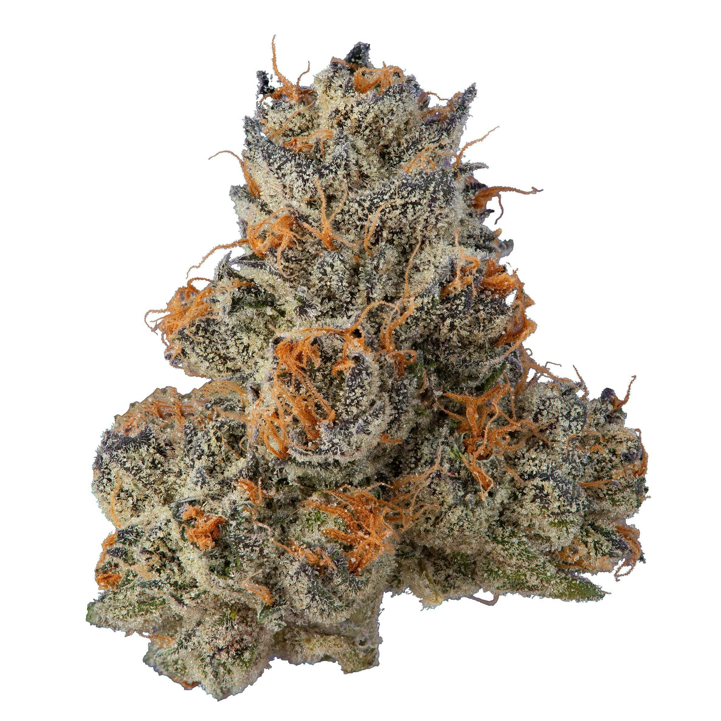 Krypto Chronic