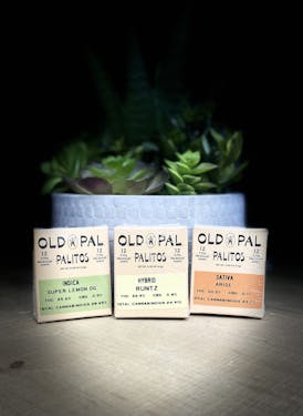 Old Pal | 12-Pack Palitos | Runtz | 4.2G (H)