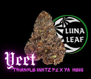 LUNA LEAF | YEET | Flower | 10G Meteors (S)