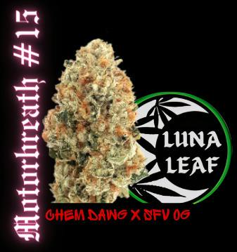 LUNA LEAF | Brandy Wine Bandit | Flower | 1G (I)