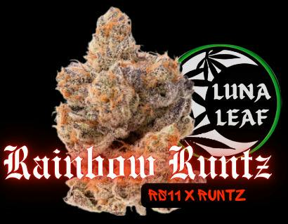LUNA LEAF | Rainbow Runtz | Flower | 28G (I)