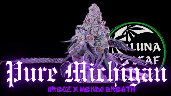 LUNA LEAF | Pure Michigan | Flower | 10G Meteors (I/H)
