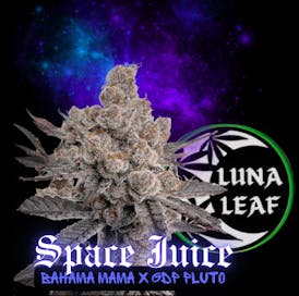 LUNA LEAF | Space Juice | Pre-Roll | 1G (S/H)