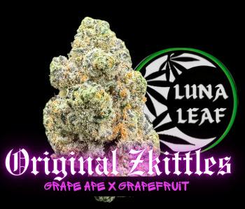 LUNA LEAF | Sawtelle | Flower | 10G METEORS (H)