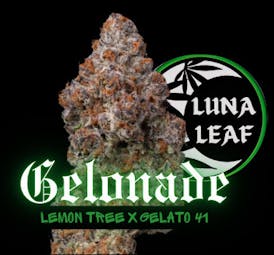 LUNA LEAF | Gelonade | PreRoll | 1G (H)