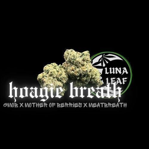 LUNA LEAF | Ice Cold Lava | 10G METEORS (I/H)