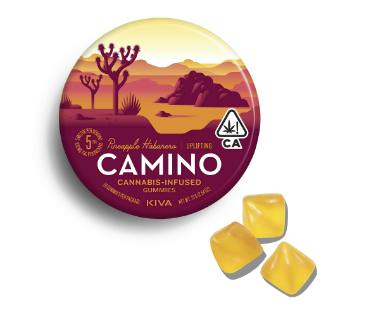 CAMINO: Uplifiting Pineapple Habanero