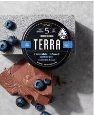 Terra Bites: Milk Blueberries