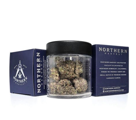 Northern Harvest: Lemon Sherbet