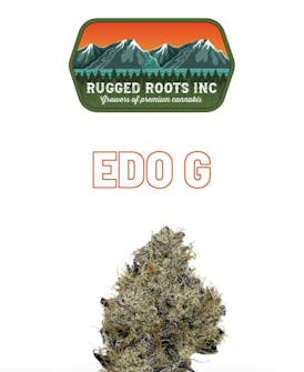 Edo G 1/8