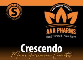 Crescendo 1/8