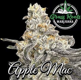 Apple M.A.C. 1/8