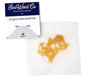 Sundae Driver Shatter