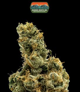 GMO 1/8