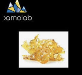 Garlic Blaster Shatter