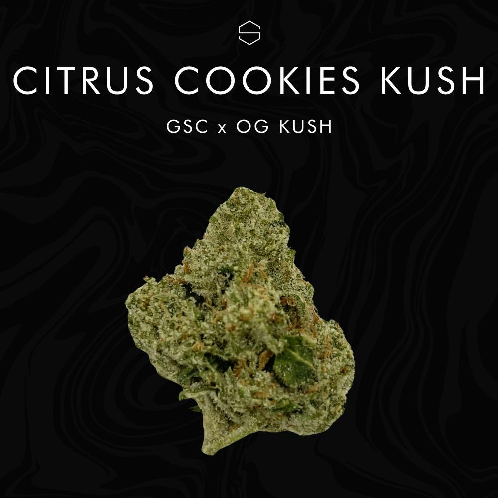 Citrus Cookies Kush (I-Hybrid) (Smalls) - 2