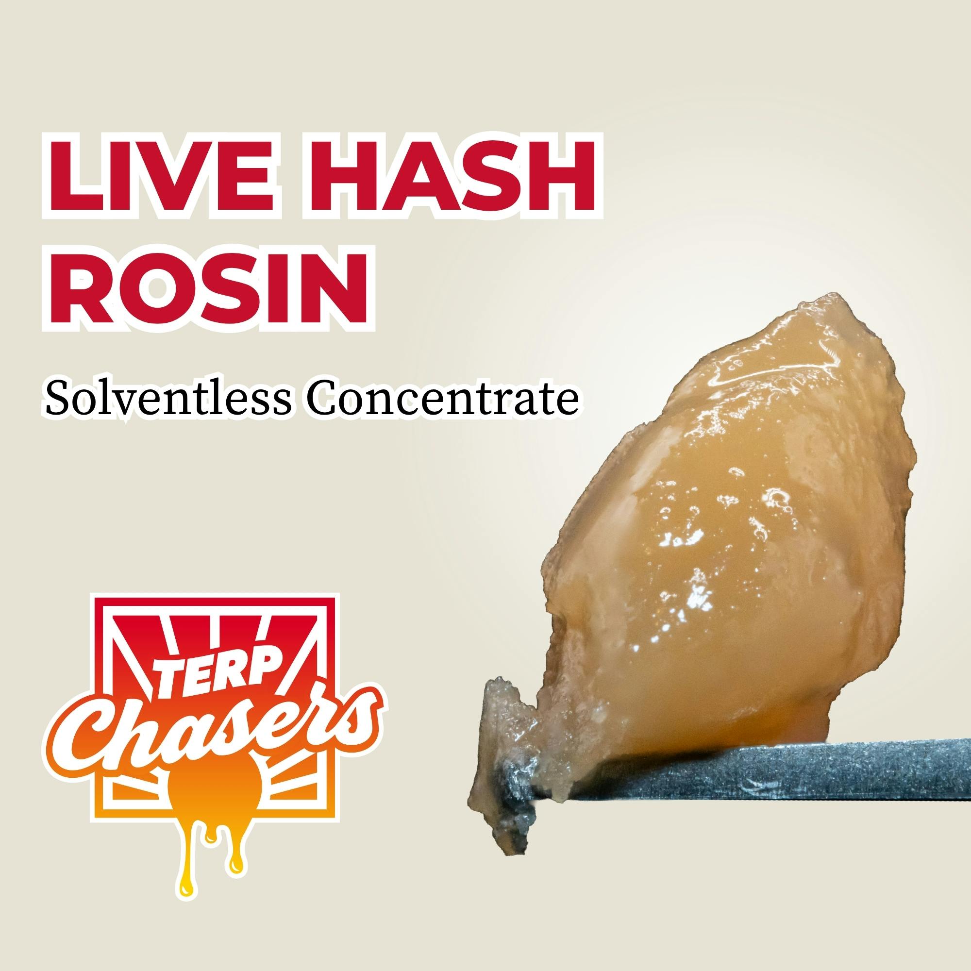 Grape War Zone (Hybrid) Live Hash Rosin