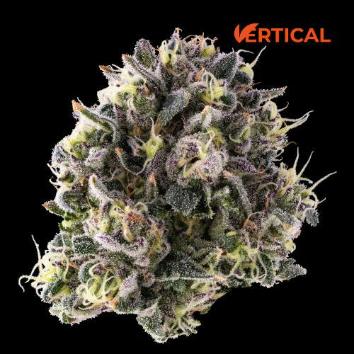 Grape Bubblegum (Hybrid) Top Shelf