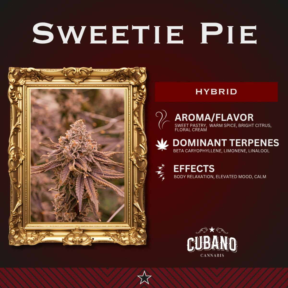 Sweetie Pie (Hybrid)