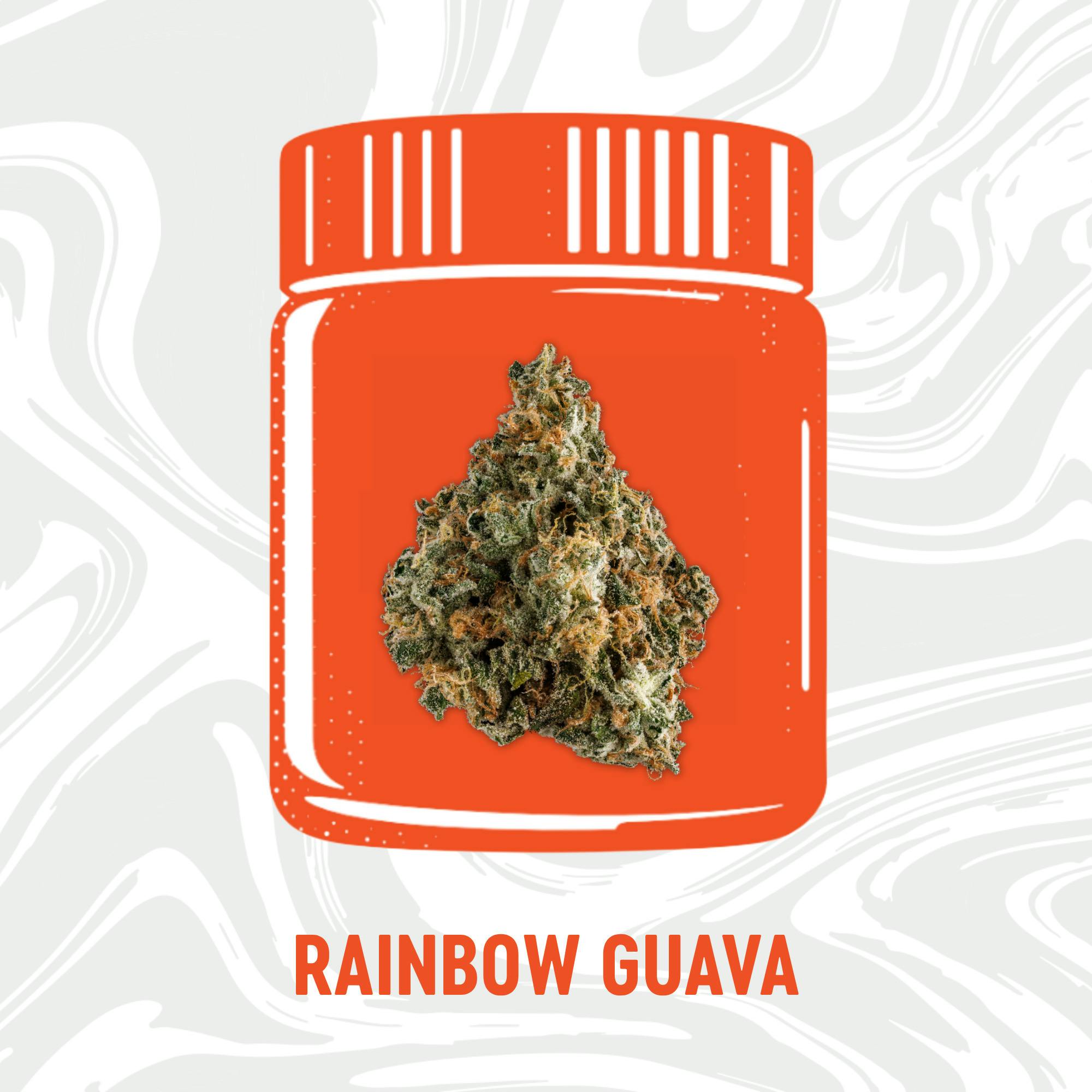 Rainbow Guava (Hybrid)