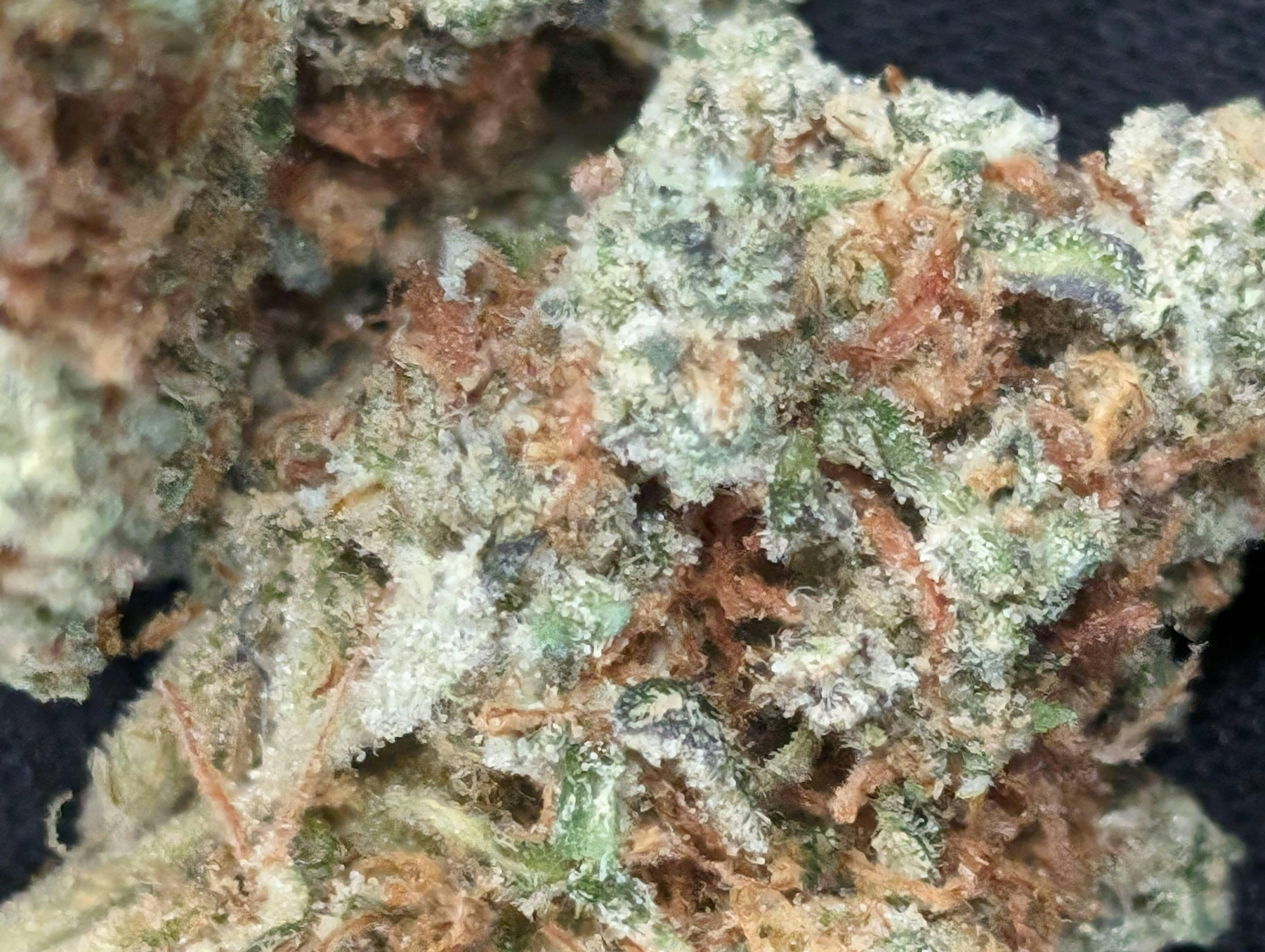 Loco Weed 13 at Hot Springs Cannabis LLC