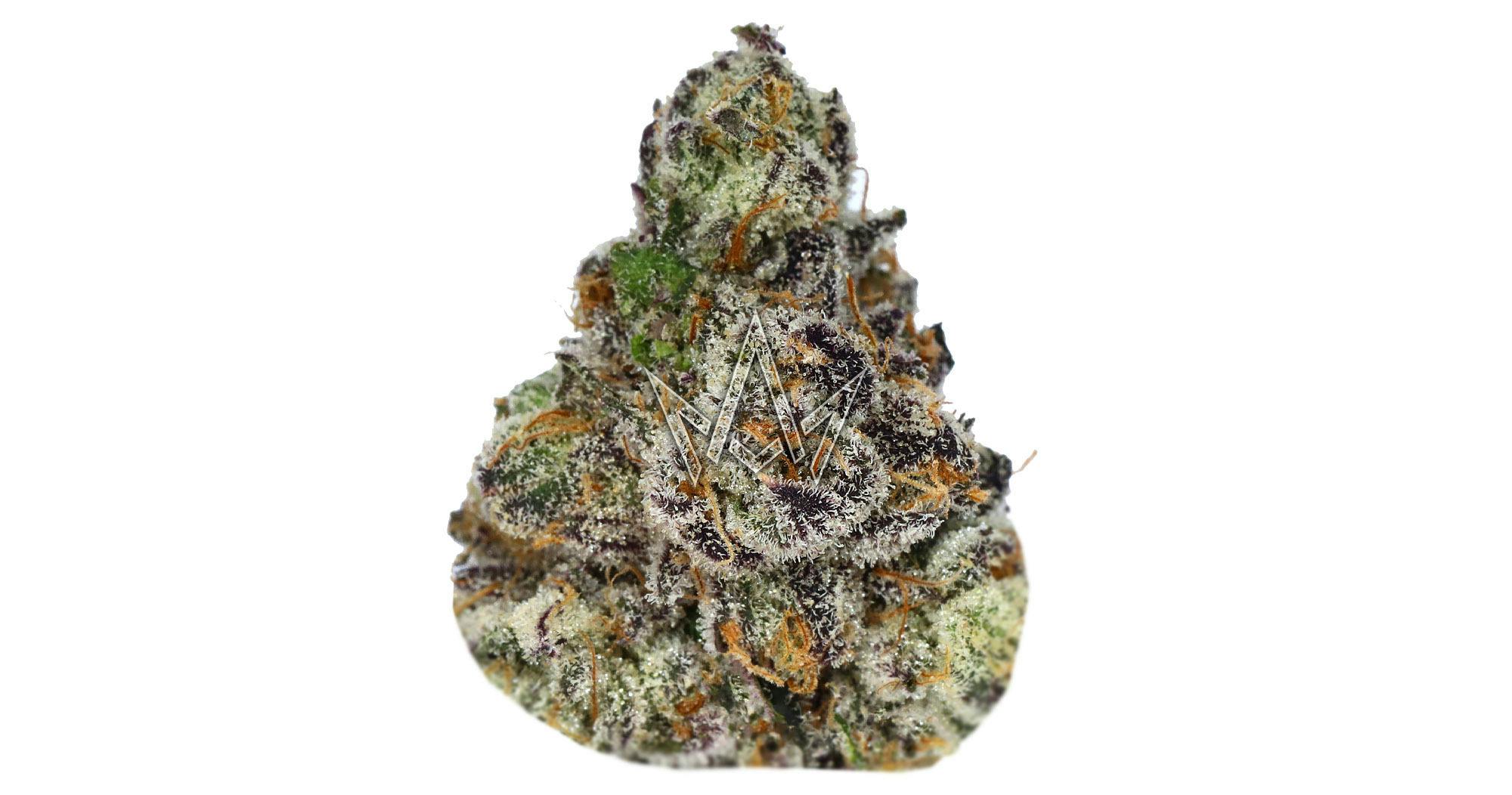 CAM — Cam Pop Private Reserve