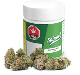 Spinach - GMO COOKIES - 3.5g