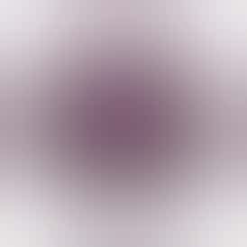 No Future - The Purple One Sativa THC Gummy - 1 Pack