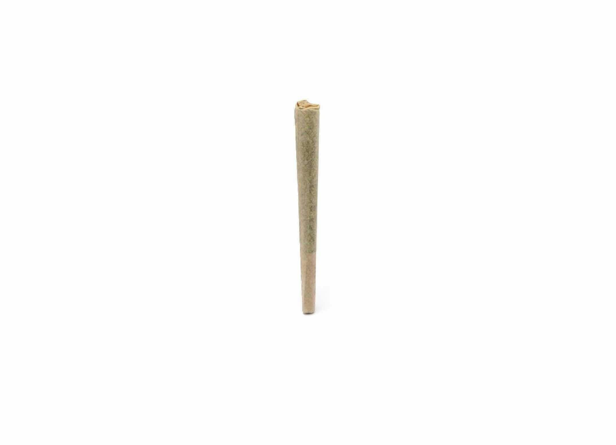 Caviar Gold — Cavi Cone Fryday